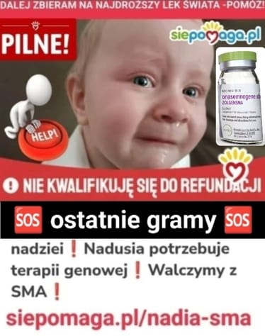 Zdjęcie główne wgrane przez użytkownika