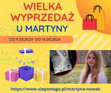 Zdjęcie główne wgrane przez użytkownika