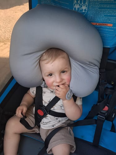 Zdjęcie główne wgrane przez użytkownika