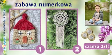 Main photo uploaded by the user