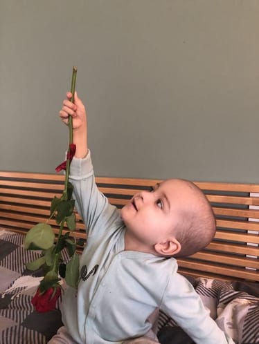 Zdjęcie główne wgrane przez użytkownika