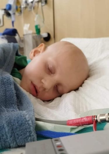 Zdjęcie główne wgrane przez użytkownika