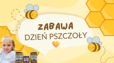 Main photo uploaded by the user