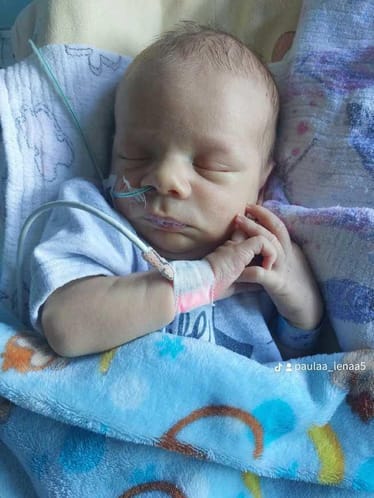 Zdjęcie główne wgrane przez użytkownika