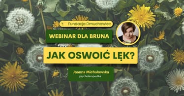 Zdjęcie główne wgrane przez użytkownika