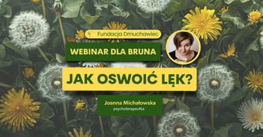 Zdjęcie główne wgrane przez użytkownika