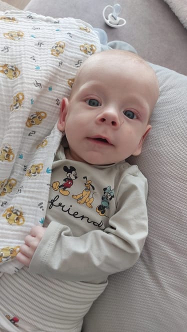 Zdjęcie główne wgrane przez użytkownika