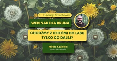 Zdjęcie główne wgrane przez użytkownika