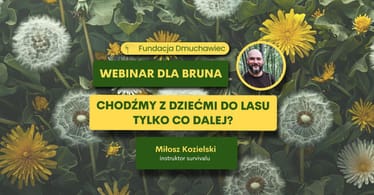 Zdjęcie główne wgrane przez użytkownika