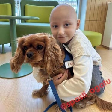 Zdjęcie główne wgrane przez użytkownika