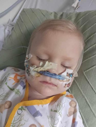 Zdjęcie główne wgrane przez użytkownika