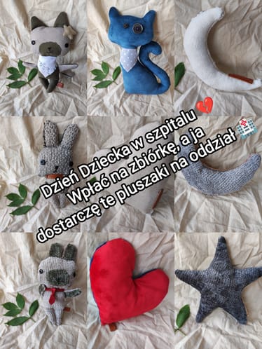 Main photo uploaded by the user