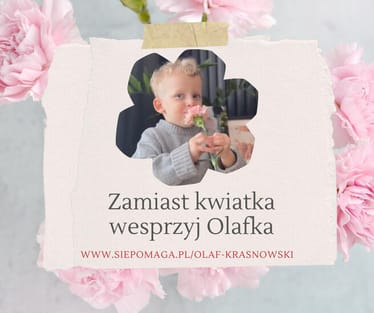 Zdjęcie główne wgrane przez użytkownika