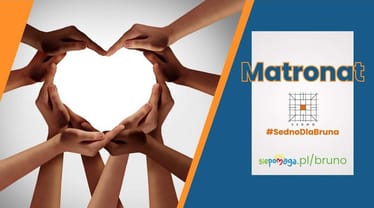 Zdjęcie główne wgrane przez użytkownika