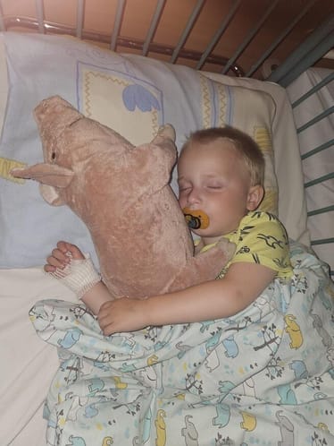 Zdjęcie główne wgrane przez użytkownika