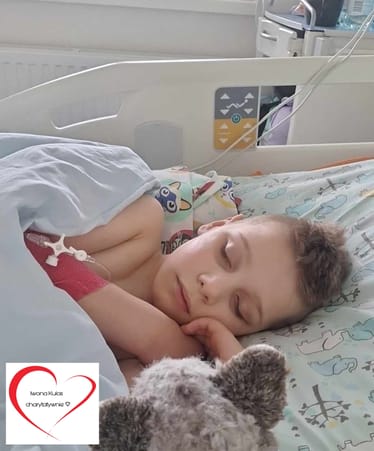 Main photo uploaded by the user