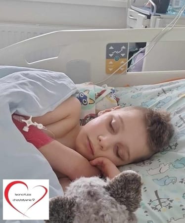 Zdjęcie główne wgrane przez użytkownika