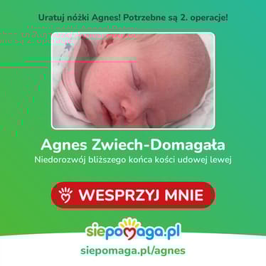 Zdjęcie główne wgrane przez użytkownika