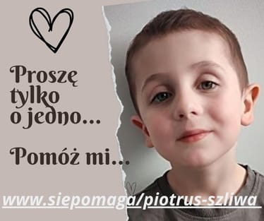 Main photo uploaded by the user