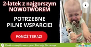 Zdjęcie główne wgrane przez użytkownika
