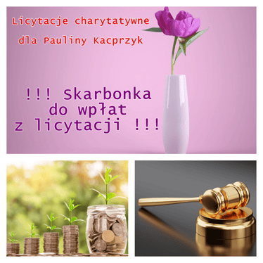 Zdjęcie główne wgrane przez użytkownika