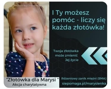 Zdjęcie główne wgrane przez użytkownika