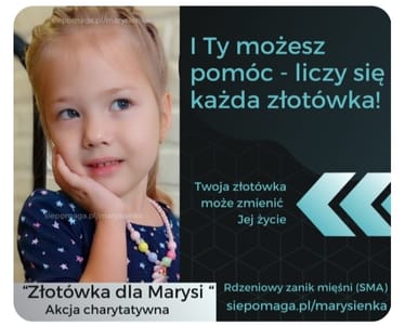 Main photo uploaded by the user