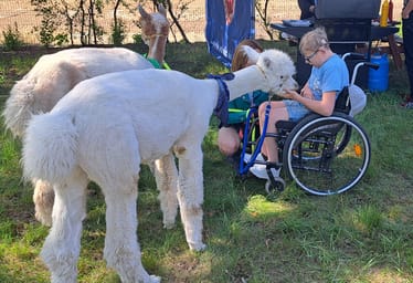 Main photo uploaded by the user