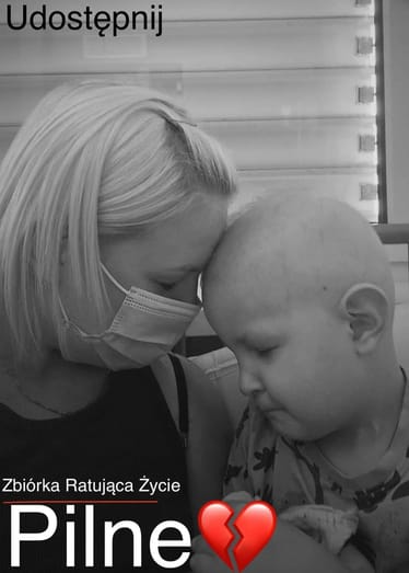 Zdjęcie główne wgrane przez użytkownika