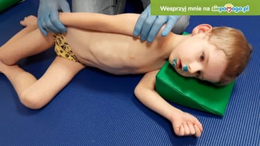 Zdjęcie główne wgrane przez użytkownika