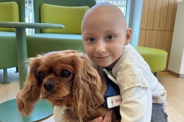 Zdjęcie główne wgrane przez użytkownika