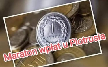 Main photo uploaded by the user