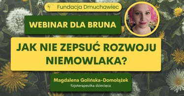 Zdjęcie główne wgrane przez użytkownika