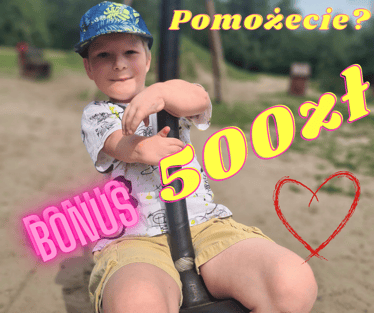 Main photo uploaded by the user