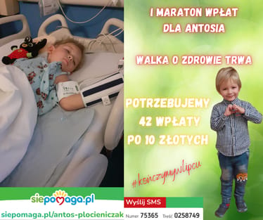 Zdjęcie główne wgrane przez użytkownika