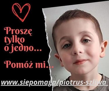 Main photo uploaded by the user