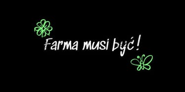 Zdjęcie główne wgrane przez użytkownika