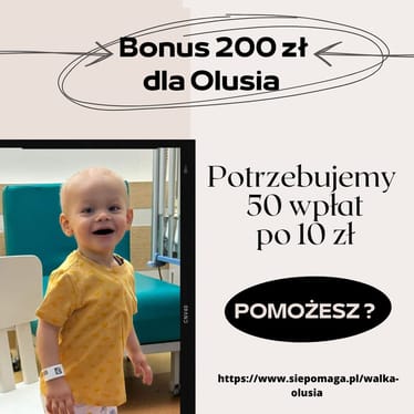 Zdjęcie główne wgrane przez użytkownika