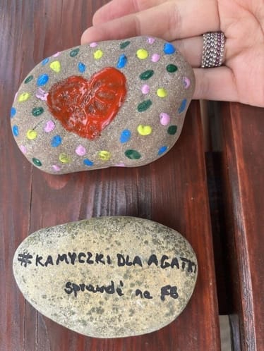 Main photo uploaded by the user