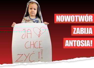 Zdjęcie główne wgrane przez użytkownika