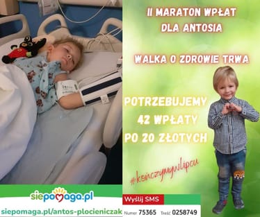 Zdjęcie główne wgrane przez użytkownika