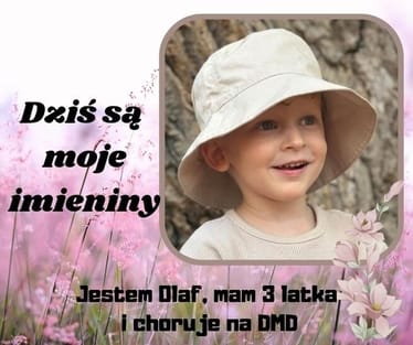 Zdjęcie główne wgrane przez użytkownika