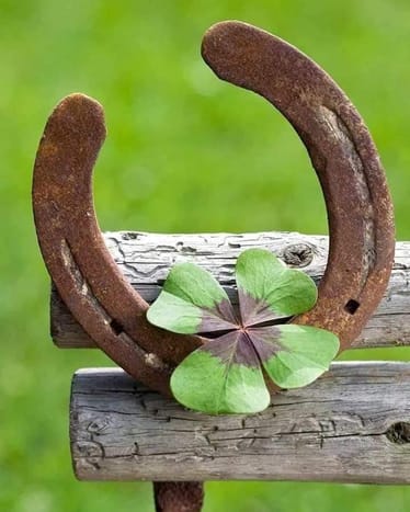 Zdjęcie główne wgrane przez użytkownika