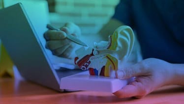 Main photo uploaded by the user