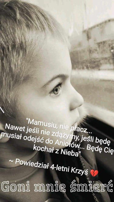 Zdjęcie główne wgrane przez użytkownika