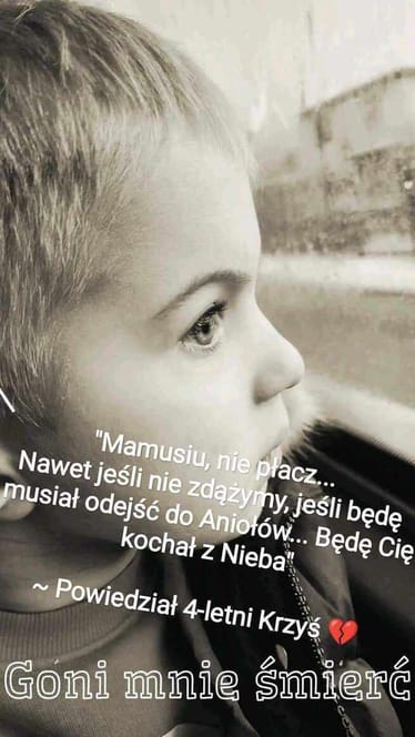 Zdjęcie główne wgrane przez użytkownika