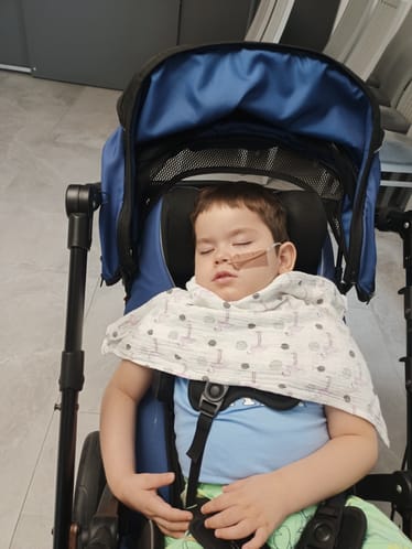Zdjęcie główne wgrane przez użytkownika