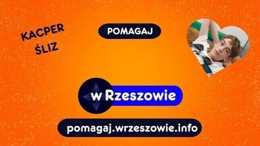 Zdjęcie główne wgrane przez użytkownika