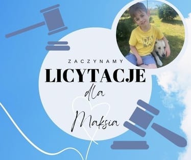 Zdjęcie główne wgrane przez użytkownika