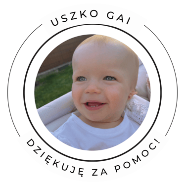 Main photo uploaded by the user